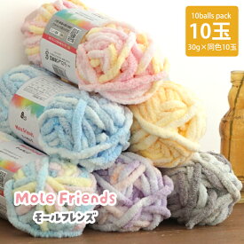 ＼18日0時よりクーポン利用で1袋1109円／【6083F】G-knit モールフレンズ 10玉 ごしょうの糸 ジーニット 30g(18m) 毛糸zakkaストアーズ