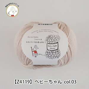 yZ4119zxr[ 40g(m) AN E[юzakkaXgA[Y