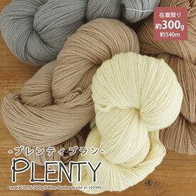 ＼17日12:59まで！配送料無料／【期間限定】【Z2136】 Plenty Brun（プレンティブラン） 300g カセ/毛糸ZAKKAストアーズ/在庫限り