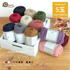 毛糸 まとめ買い ウール G-knit いろどりウール ≪5玉パック≫【6051F】編み物 手芸 毛糸ZAKKAストアーズ ごしょう産業