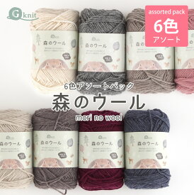 毛糸 まとめ買い ウール G-knit 森のウール ≪6色アソート≫ 【6106F-SET】編み物 手芸 毛糸ZAKKAストアーズ ごしょう産業