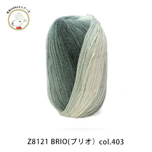 _J[fBK҂ݐ}v[g^yԌzyZ8121zDMC BRIOiuIj/100g gRY/iߎ@юZAKKAXgA[Y