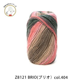 【Z8121】DMC BRIO（ブリオ）/100g巻 トルコ産/段染め糸　毛糸ZAKKAストアーズ