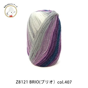 yԌzyZ8121zDMC BRIOiuIj/100g gRY/iߎ@юZAKKAXgA[Y