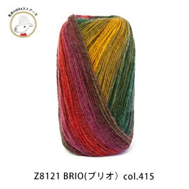 ＼期間限定／【Z8121】DMC BRIO(ブリオ)トルコ産 輸入糸 手編み 毛糸ZAKKAストアーズ