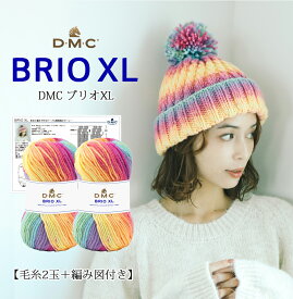 【期間限定】【Z8155-SET】DMC ブリオXL 編み図付2玉セット【2玉＋ビーニー編み図】毛糸zakkaストアーズ まとめ買い 数量限定