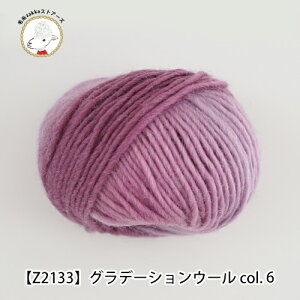 【Z2133F】GRADATION WOOL(グラデーションウール)同色10玉 40 g ウール 秋冬 並太 極太毛糸zakkaストアーズ