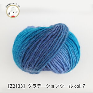 yZ2133FzGRADATION@WOOLiOf[VE[jF10 40 g E[ H~  ɑюzakkaXgA[Y