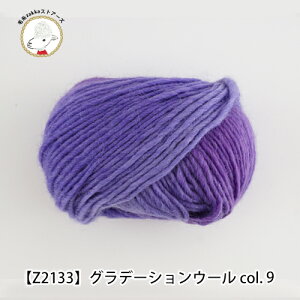 yZ2133FzGRADATION@WOOLiOf[VE[jF10 40 g E[ H~  ɑюzakkaXgA[Y