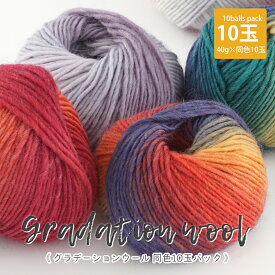 【Z2133F】GRADATION　WOOL（グラデーションウール）同色10玉 40 g ウール 秋冬 並太 極太毛糸zakkaストアーズ