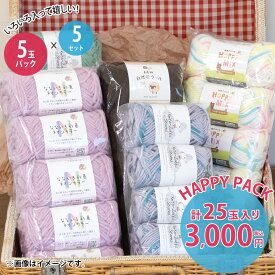 【Z080808G】HAPPY BOX お楽しみ袋 詰め合わせ 福袋 毛糸 手芸 糸 セット大好評企画 毛糸zakkaストアーズ オリジナル毛糸