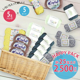 ＼数量限定／【Z080808-2500】HAPPY BOX 税込2,500円編み物 手芸 まとめ買い 福袋 毛糸zakkaストアーズ オリジナル毛糸