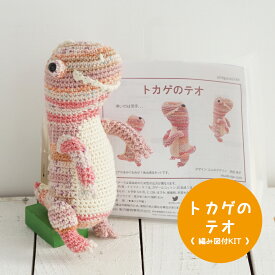 内藤商事 あみぐるみ トカゲのテオ 編みぐるみキット ≪毛糸+編み図≫【NHT-25】ナスカ 編み物 手編み 手芸 毛糸ZAKKAストアーズ