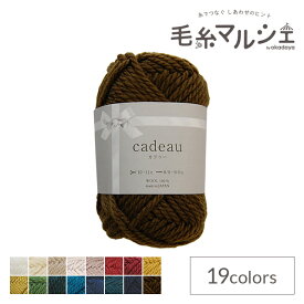 ＼クリアランス特価／ オリジナル毛糸 Daily cadeau・カドゥー 極太 4.ゴールデンブラウン (M)_b1j