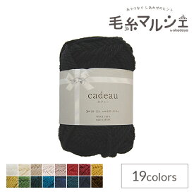＼クリアランス特価／ オリジナル毛糸 Daily cadeau・カドゥー 極太 15.ブラック (M)_b1j
