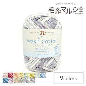 ҂ݎ n}iJ EIbVRbg Of[V F302 06Co99_