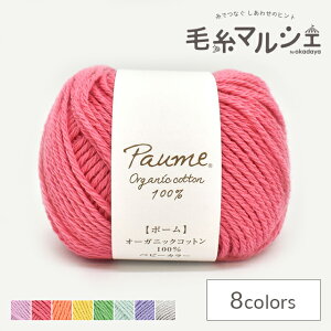 n}iJ |[ xr[J[ F303 06Co99_