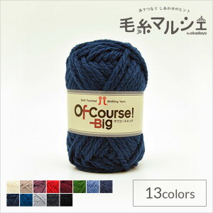 ю n}iJ ItR[XIrbO F119 06Co99_