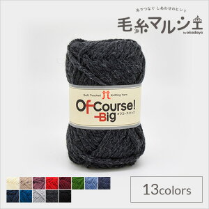 ю n}iJ ItR[XIrbO F109 06Co99_