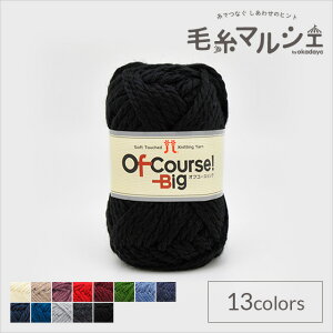 ю n}iJ ItR[XIrbO F110 06Co99_