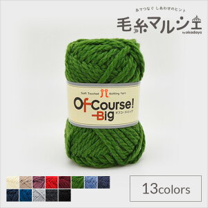 ю n}iJ ItR[XIrbO F113 06Co99_