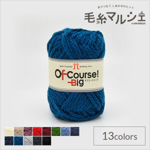 ю n}iJ ItR[XIrbO F117 06Co99_