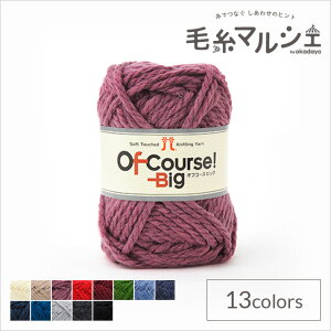 ю n}iJ ItR[XIrbO F118 06Co99_