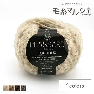 ю Plassard-vbT[- TOUDOUXEgDhD 3.x[W 06Co99_