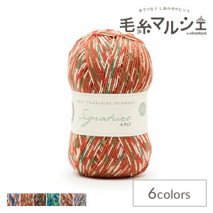 ю West Yorkshire Spinners-EGXg[NV[Xsi[Y- Signature 4plyEVOl`[4vC 1109.Gingerbread 06Co99_