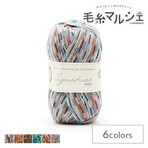 ю West Yorkshire Spinners-EGXg[NV[Xsi[Y- Signature 4plyEVOl`[4vC 1167.Jay 06Co99_