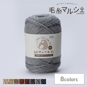 ю IpX R̂ނ  107.CgO[ 06Co99_