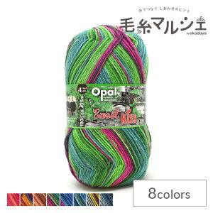 ю Opal-Ip[- XC[gLX 4ply/4{Q 11262.΂̎P 06Co99j