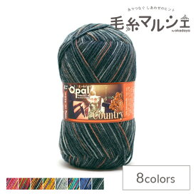毛糸 Opal-オパール- カントリー 4ply/4本撚り 11297.カントリーミュージック (M)_b1j
