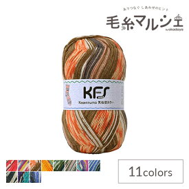 毛糸 Opal-オパール- 気仙沼カラー 4ply/4本撚り KFS105.鮭/オレンジ・ブラウン系マルチカラー (M)_b1j