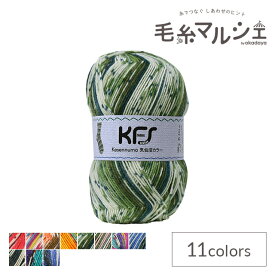 毛糸 Opal-オパール- 気仙沼カラー 4ply/4本撚り KFS108.森/グリーン系マルチカラー (M)_b1j