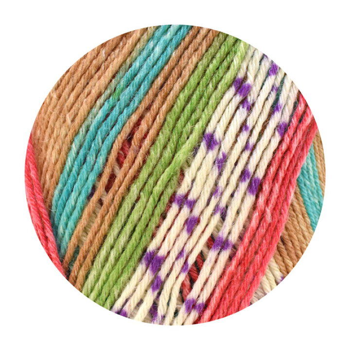 楽天市場】毛糸 Opal-オパール- KFSオリジナルカラー 6ply/6本撚り 