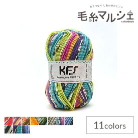 毛糸 Opal-オパール- 気仙沼カラー 4ply/4本撚り KFS988.四季の輝き/マルチカラー (M)_b1j