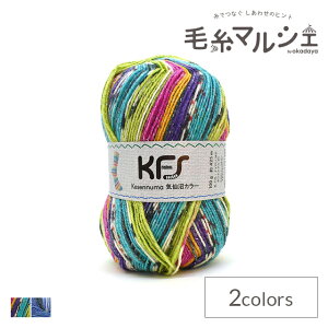 ю Opal-Ip[- CJ[ 4ply/4{Q KFS988.lG̋P/}`J[ 06Co99j