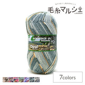 毛糸 Opal-オパール- シャーフパーテ15 4ply/4本撚り 11366.切り株 (M)_b1j
