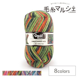 毛糸 Opal-オパール- フンデルトヴァッサー4 4ply/4本撚り 4052.緑の街 (M)_b1j