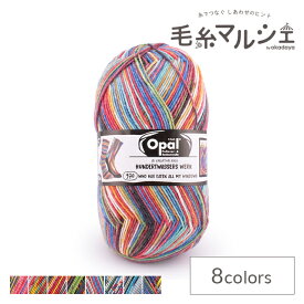 毛糸 Opal-オパール- フンデルトヴァッサー4 4ply/4本撚り 4055.誰が窓を食べた 06Co99j
