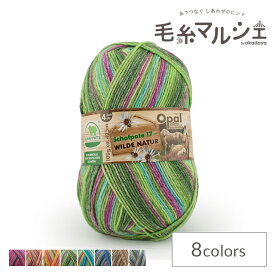 毛糸 Opal-オパール- シャーフパーテ17 4ply/4本撚り 11592.どんぐりの森 06Co99j