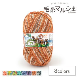 毛糸 Opal-オパール- レーゲンヴァルト21 4ply/4本撚り 11606.キタキツネ 06Co99j