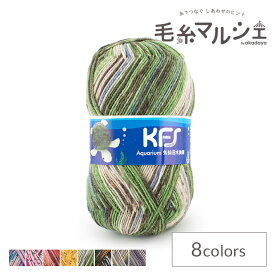 毛糸 Opal-オパール- KFS気仙沼水族館 4ply/4本撚り KFS256.カメ 06Co99j