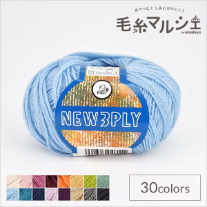 _Ԍ20%OFF^ ю ps[ j[3vC F311 06Co99_