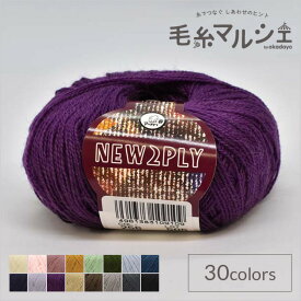 毛糸 パピー ニュー2プライ 色番256 06Co99_