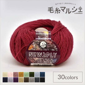 毛糸 パピー ニュー2プライ 色番221 06Co99_