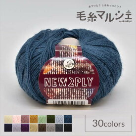 毛糸 パピー ニュー2プライ 色番223 06Co99_