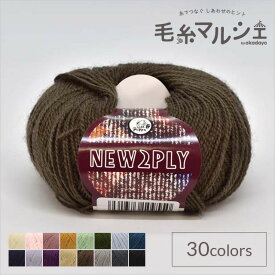 毛糸 パピー ニュー2プライ 色番255 06Co99_
