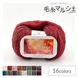 毛糸 リッチモア（ハマナカ） アルパカレジェーログラデーション 色番116 06Co99_
